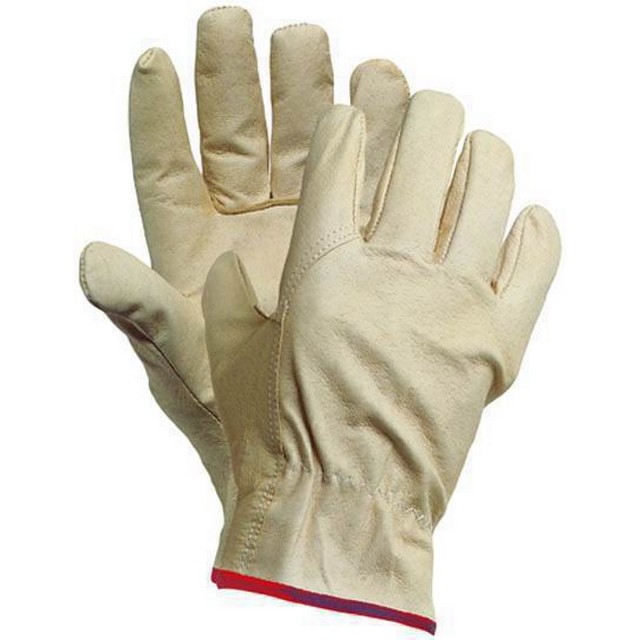 8000031285.jpg 8000031285.jpg