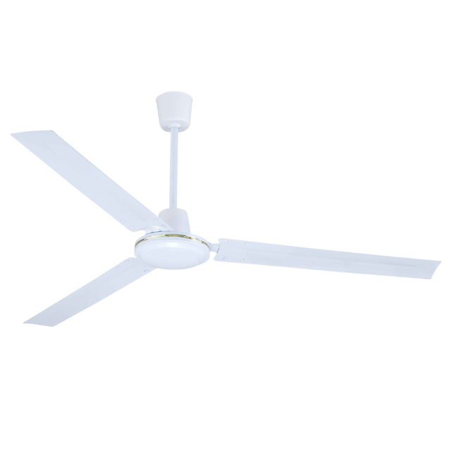 8000869177.jpg 8000869177.jpg