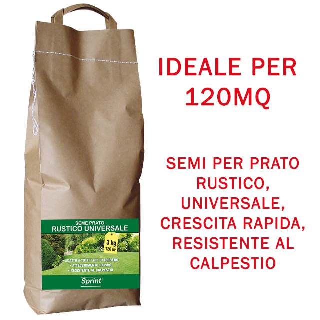 8000604911.jpg 8000604911.jpg