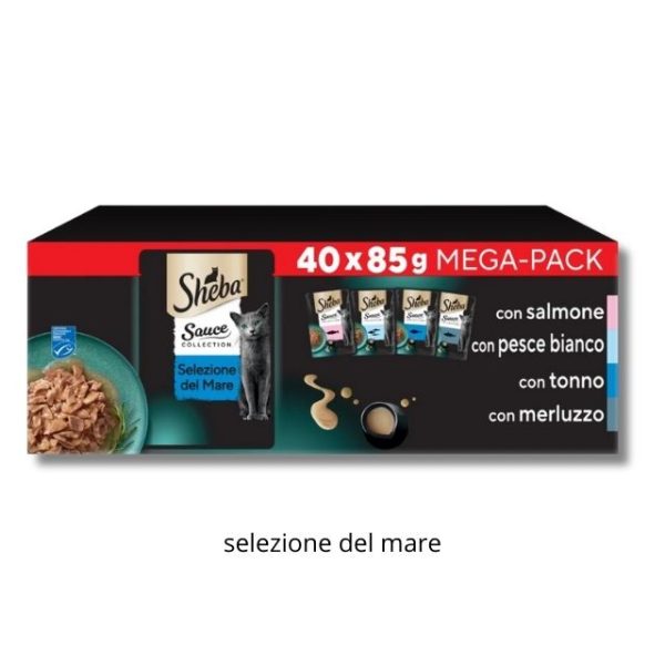 8000915109.jpg